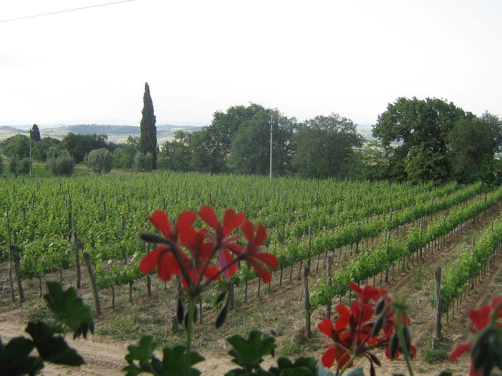 Antico Podere La Martinella ซันกีรีโกดอร์เชีย ภายนอก รูปภาพ